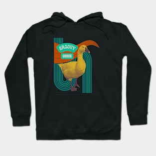 Groovy goose Hoodie